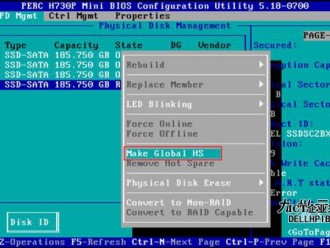Dell PowerEdge RAID 控制器 (PERC) H310、H710、H710P 和 H810 系列存储控制器卡的基本特性介绍