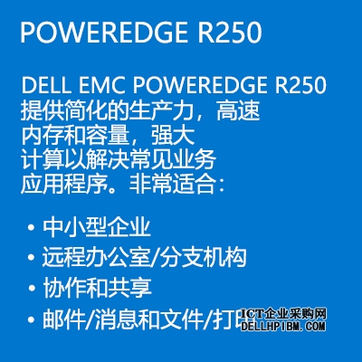戴尔Dell R250服务器（英特尔至强 E-2314 2.8GHz 四核心丨32GB内存丨2块*480GB固态硬盘+2块*4TB企业级硬盘丨集成阵列卡丨单电源丨三年保修）